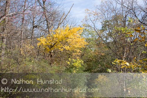 Barn_Bluff_2008-10-18_IMG_2402